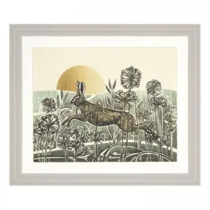 Break of Dawn Hare Framed Print