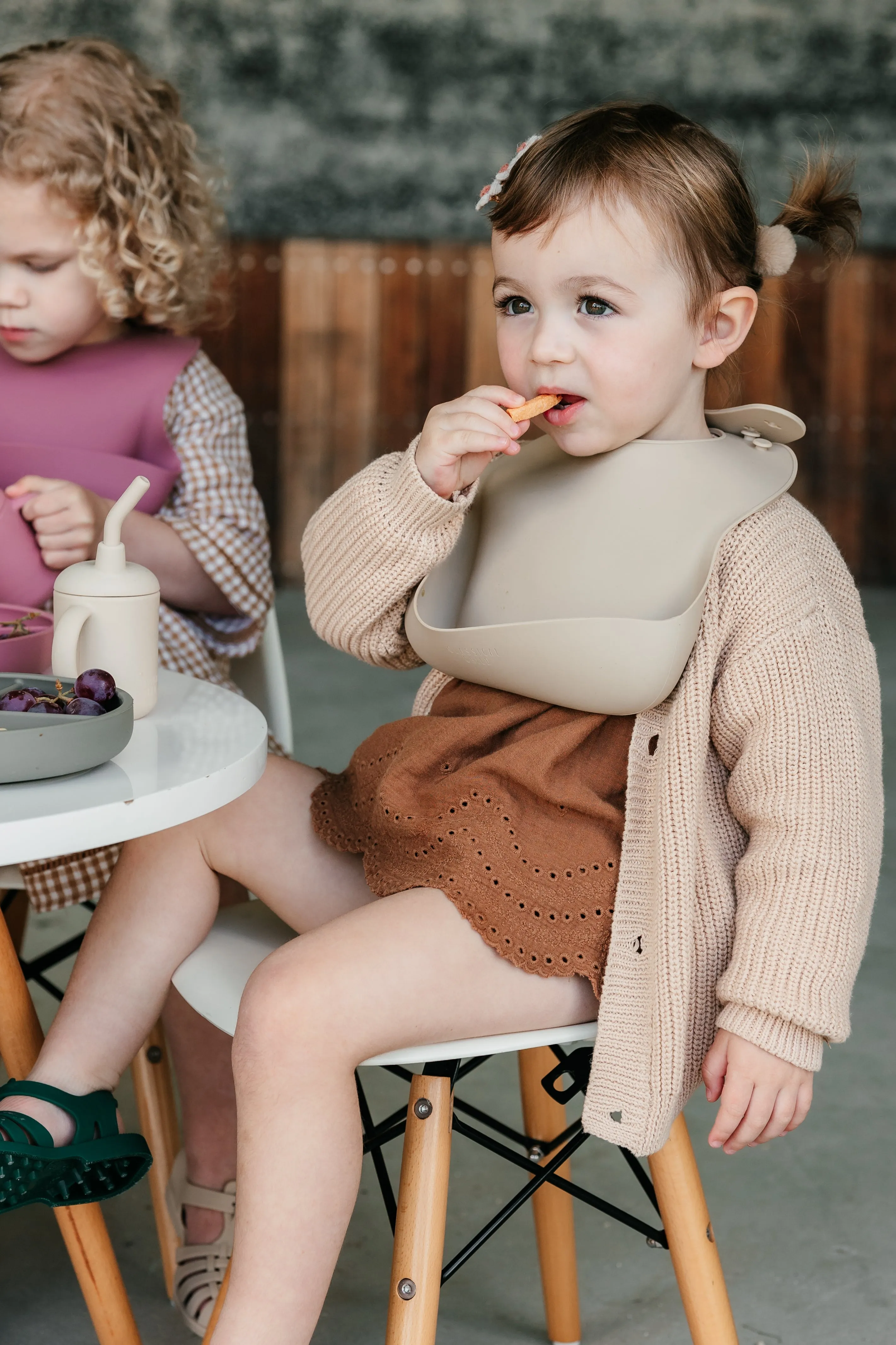 Desert Rose Silicone Bib