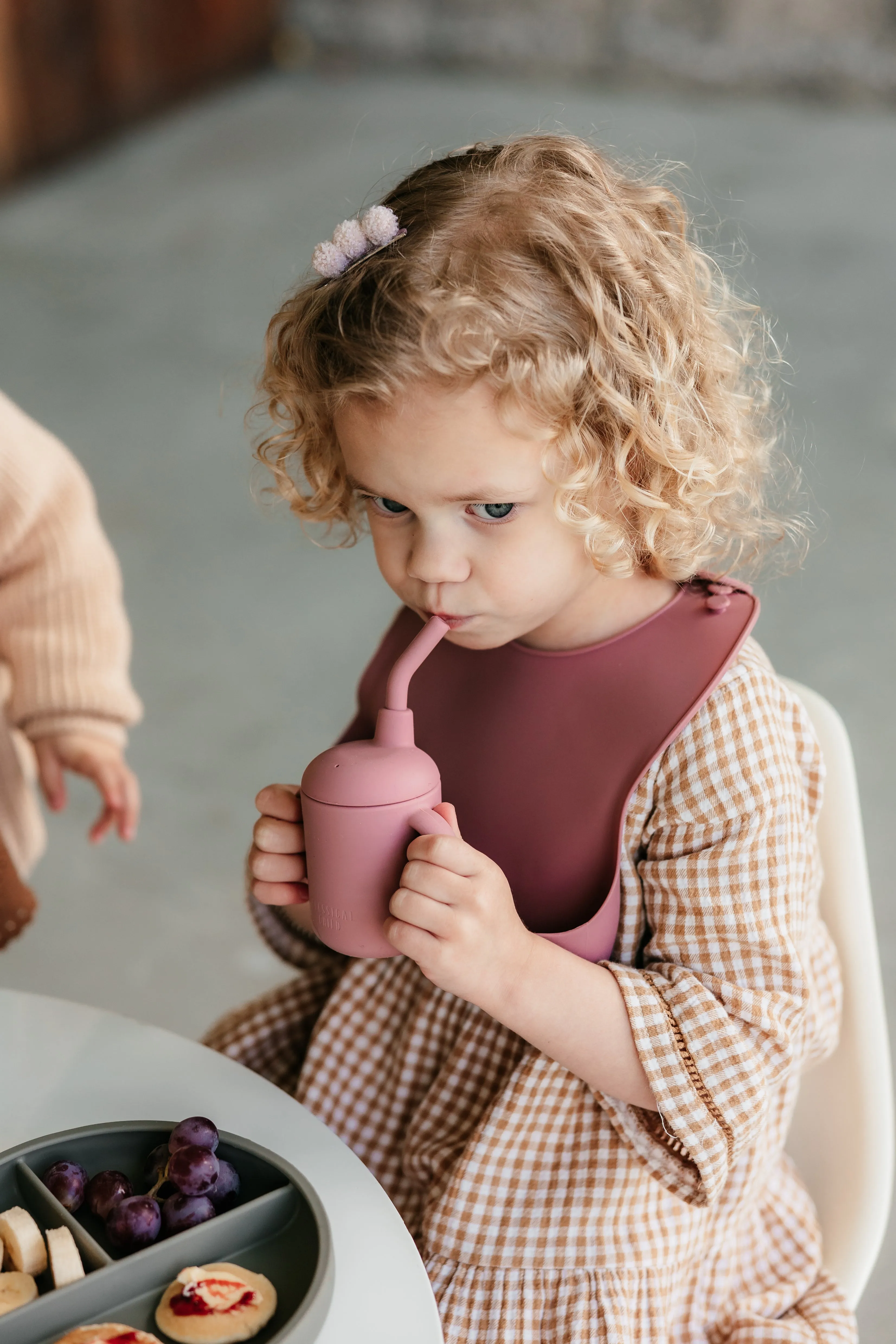 Desert Rose Silicone Bib